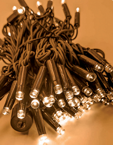 Εικόνα από Λαμπάκια LED 100L 10m IP65+επέκταση πράσινο καλ. ΚΑΟΥΤΣΟΥΚ Χάλκινο χωρίς τροφοδοτικό